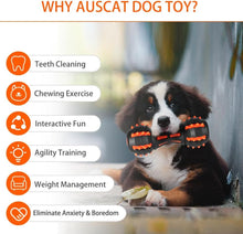 Load image into Gallery viewer, Only1Pet™ Aggressive Chewers Rubber Dog Toy