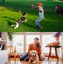 Load image into Gallery viewer, Only1Pet™ Aggressive Chewers Rubber Dog Toy