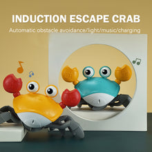 Load image into Gallery viewer, CrabbyTots™ ~ Crab Baby Toy